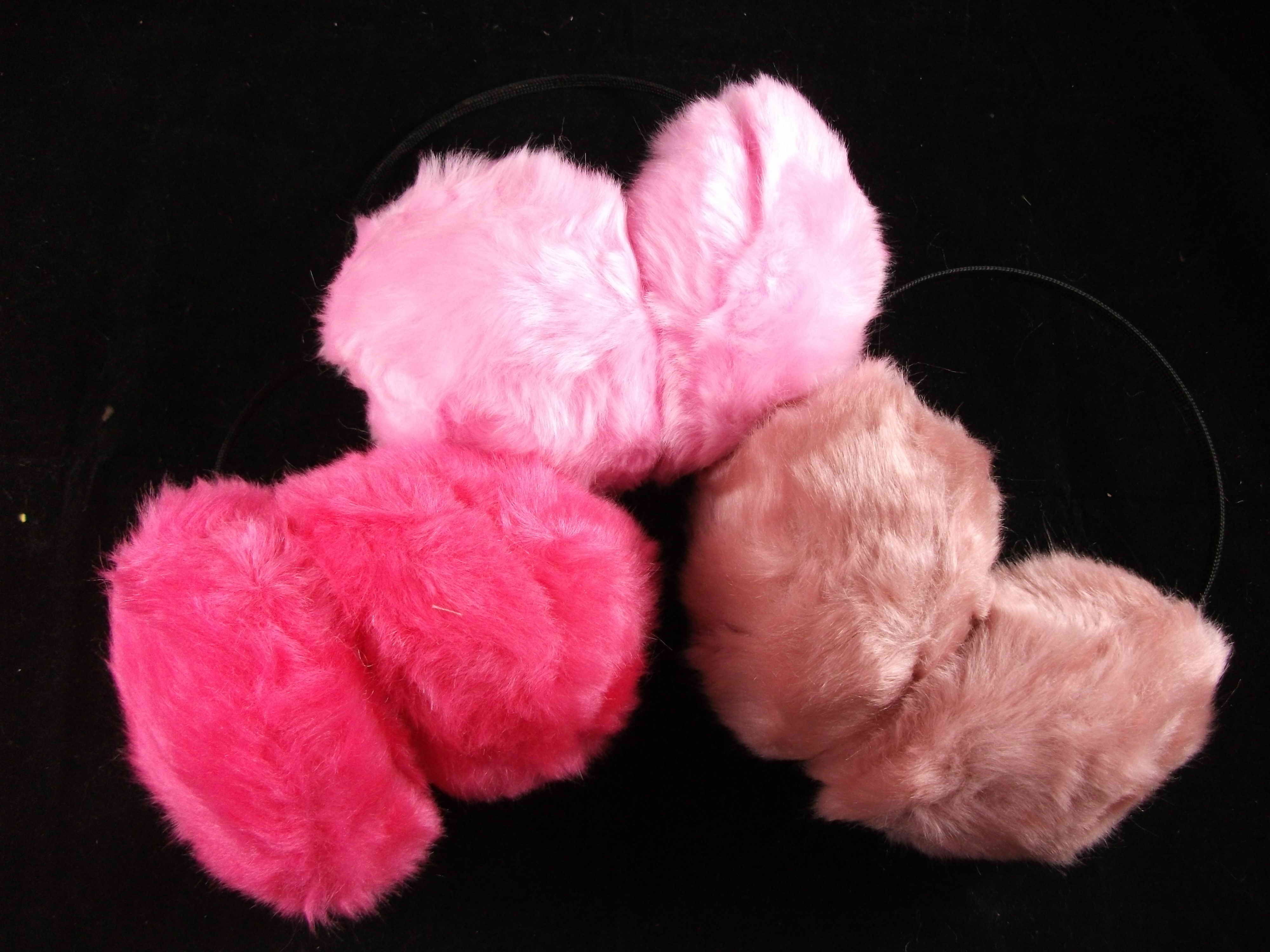 $4,ear cover