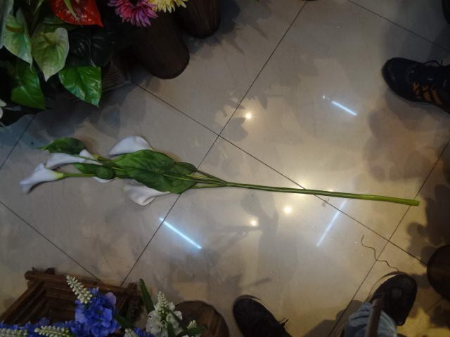 D2H,$3.99,artifical flower
