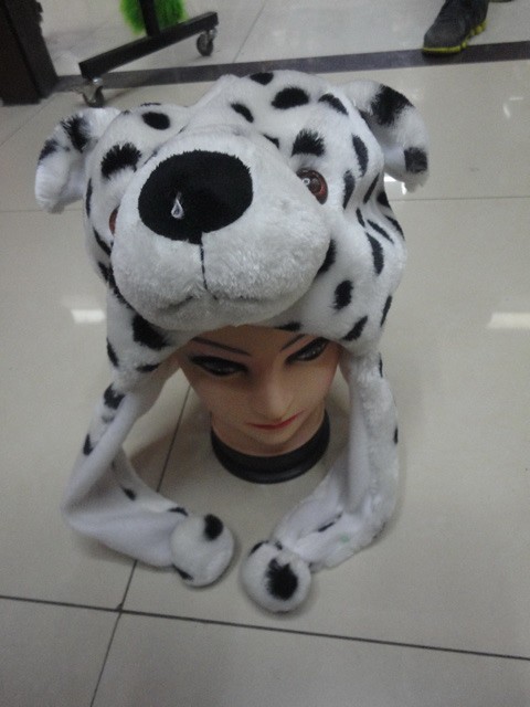 dog hat
