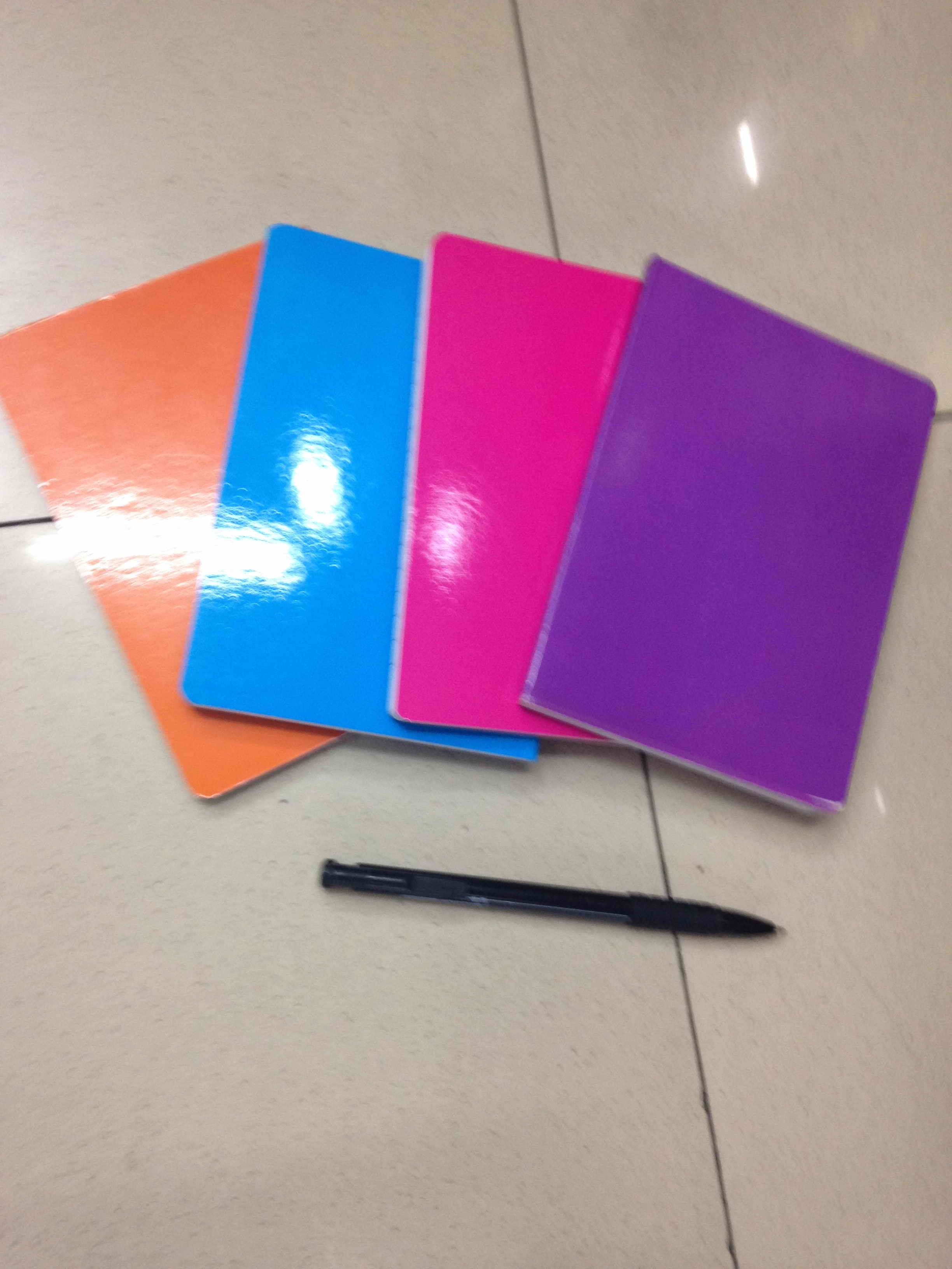D12L, A6 note book