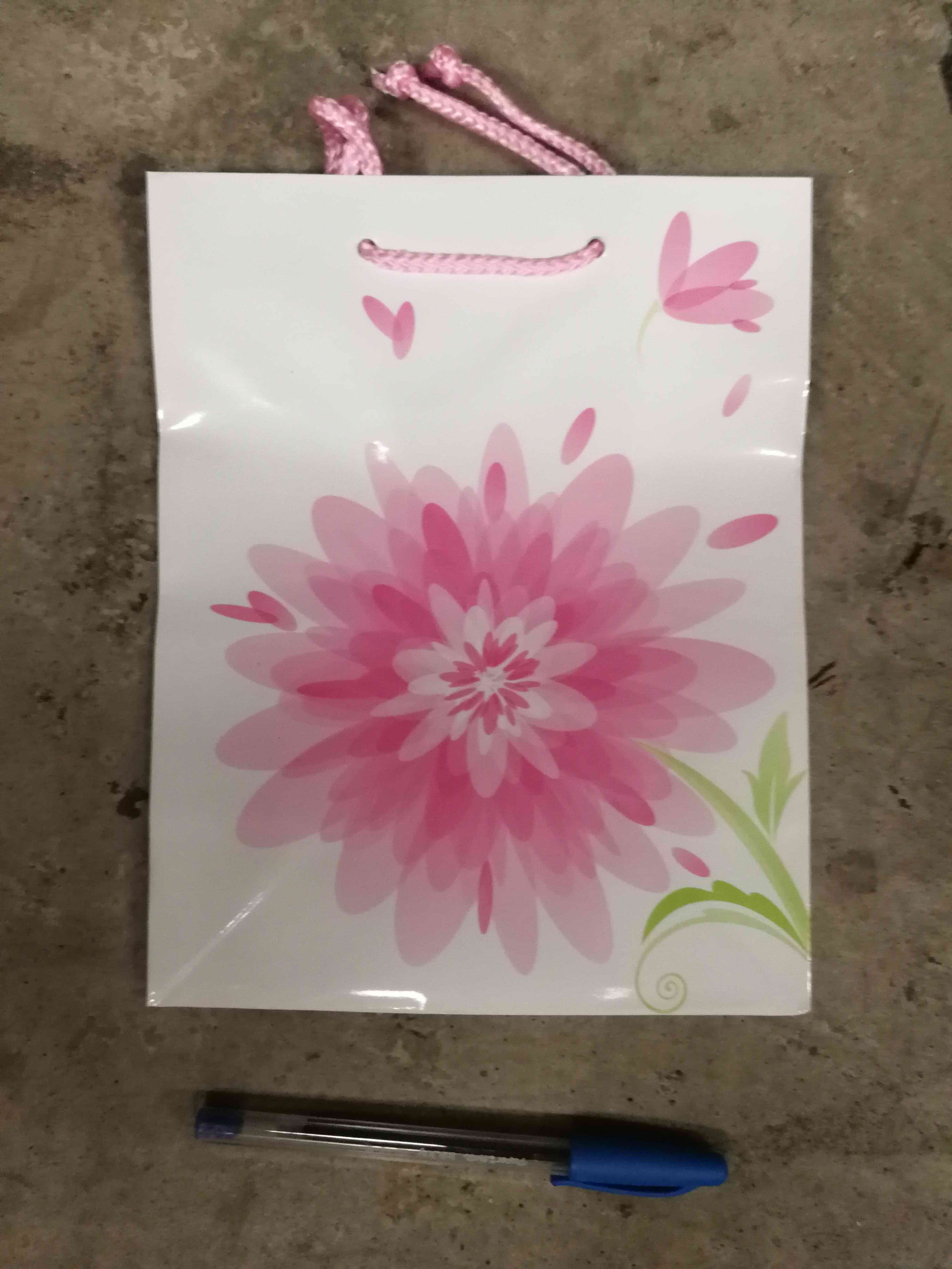 Gift Bag S
