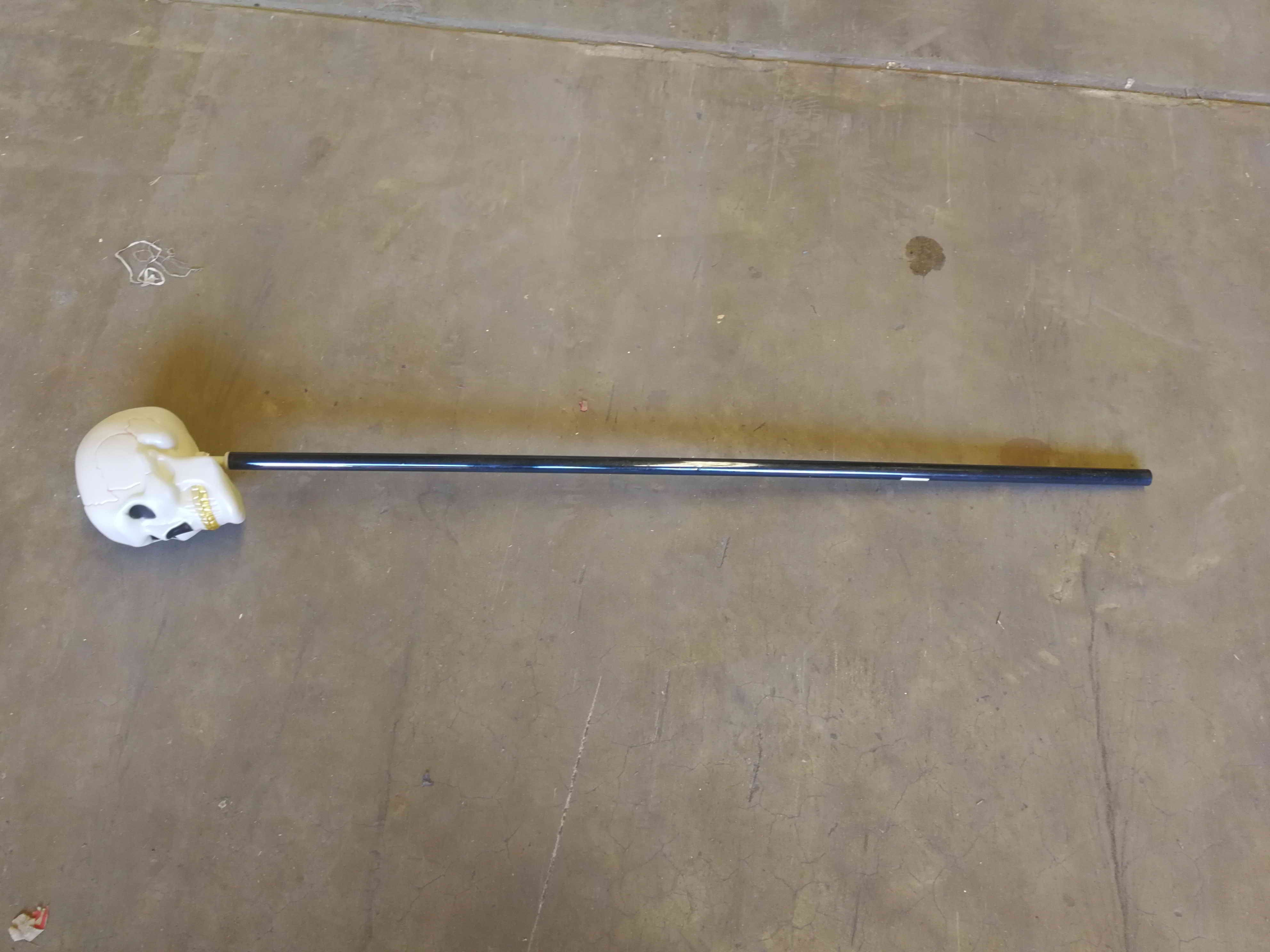$1 Skull on the stick