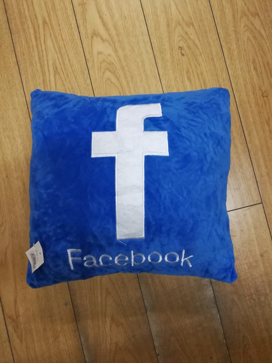 B16M, 55948, internet icon pillow