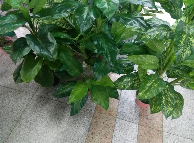 D8M, 56276, artifical flower