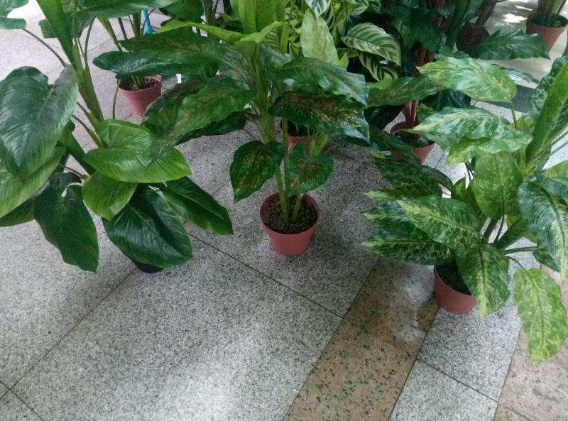 D7M, artifical flower