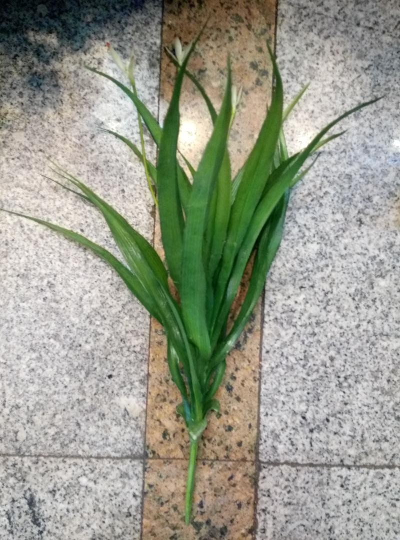 A2M, artificial plant