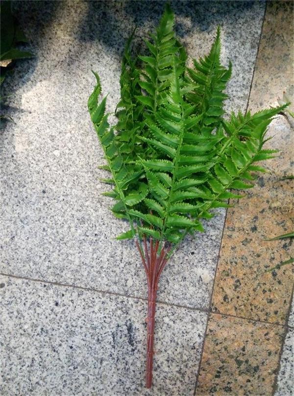 A2M, 56314, artificial plant