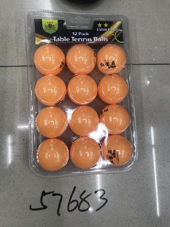 E13T, 57683, ping pong ball 12pcs