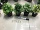 E15H, 57751, artificial plant