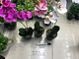 E15H, 57755, artificial plant