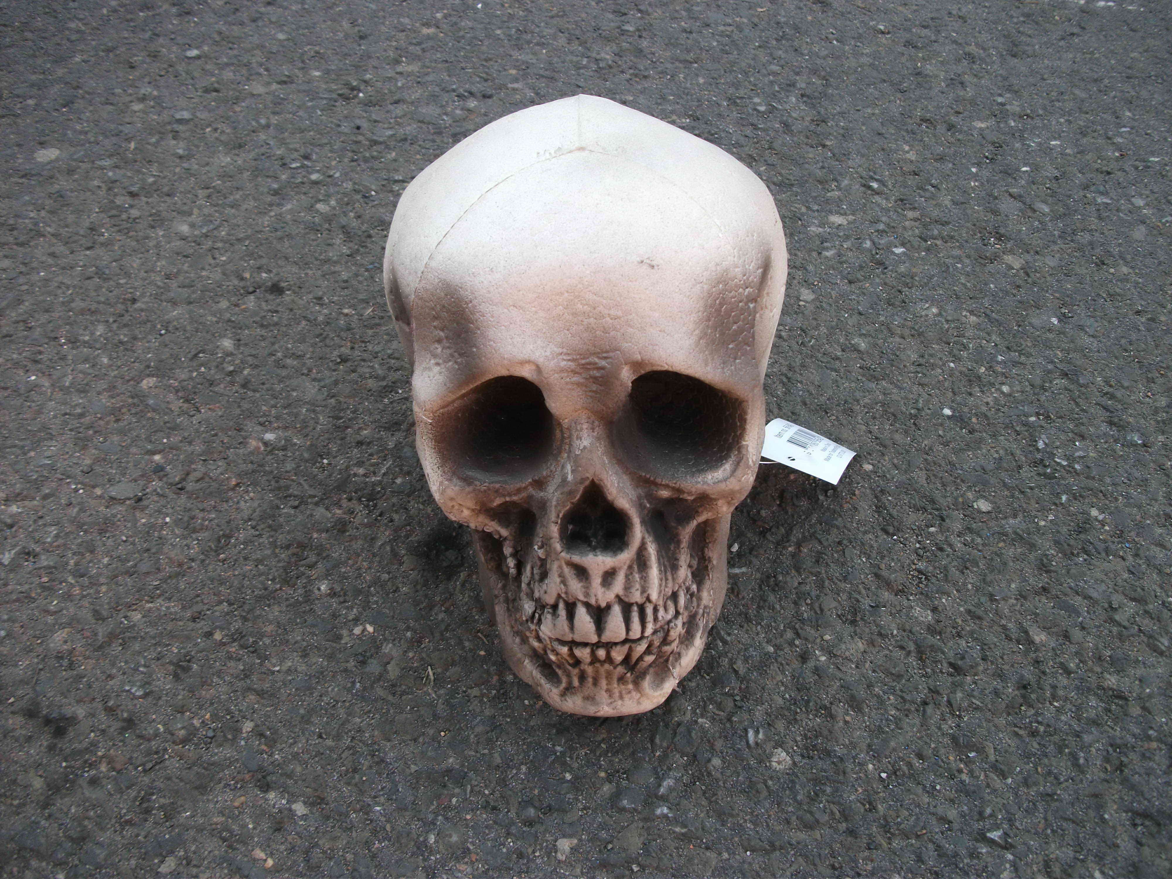 foam skull