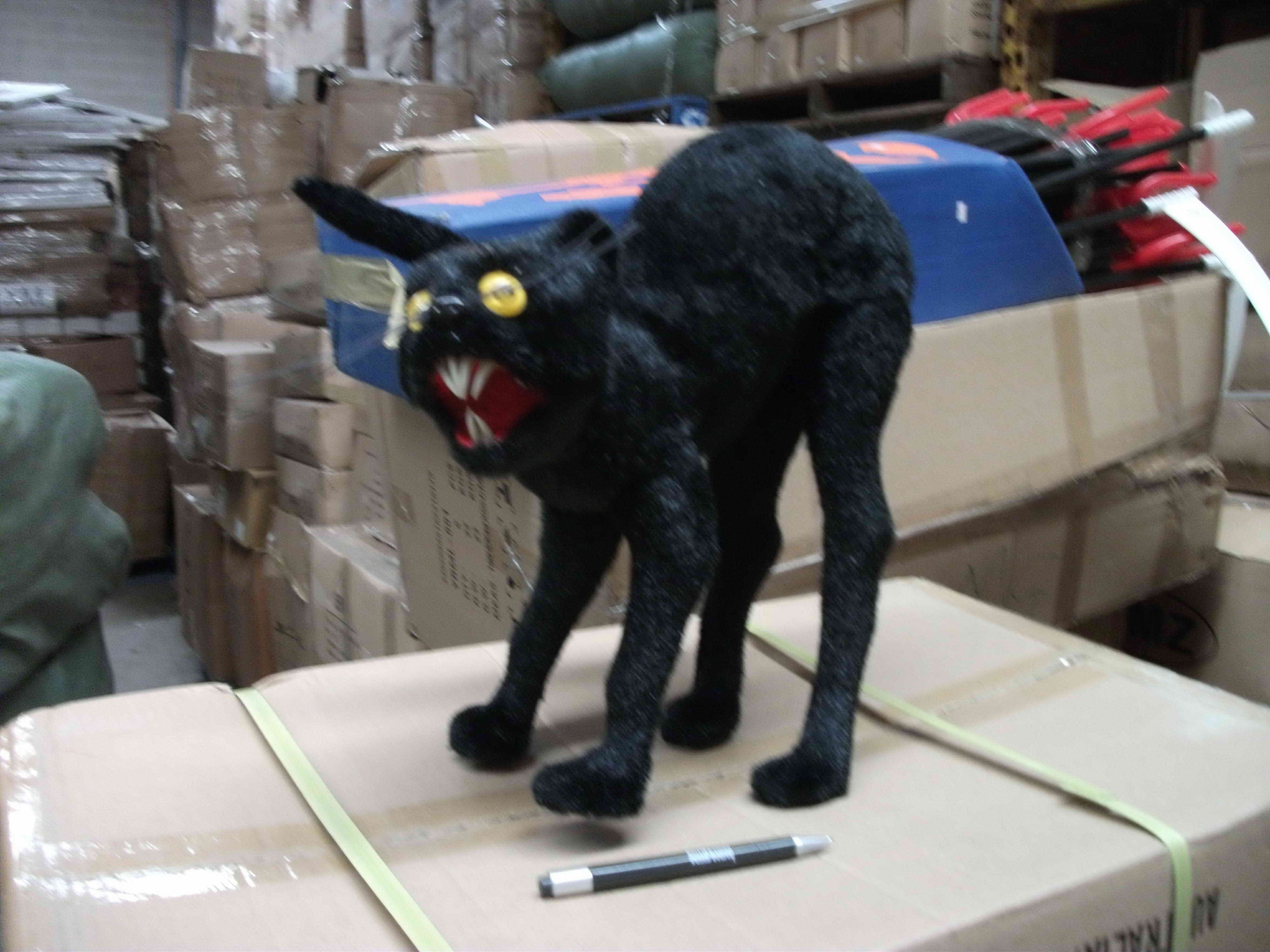 snarling cat