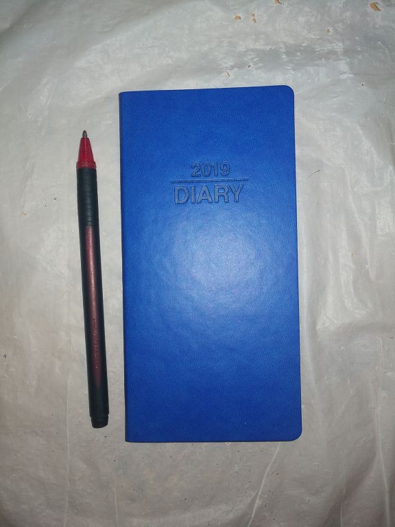 58243 Diary Slim 