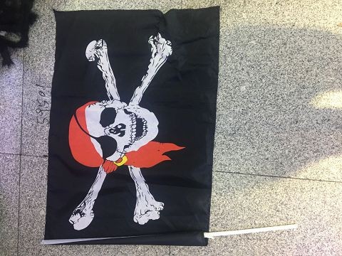 59501, pirate flag