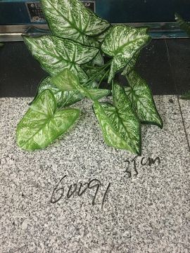 C16M, 60091, artifcial plant 35cm