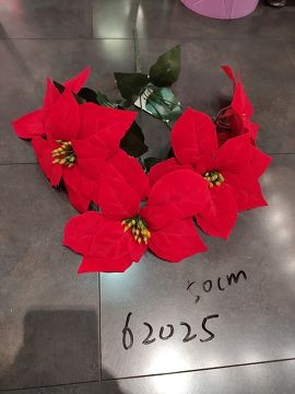 23X34, 62025, Xmas flower Poinsettia  50cm