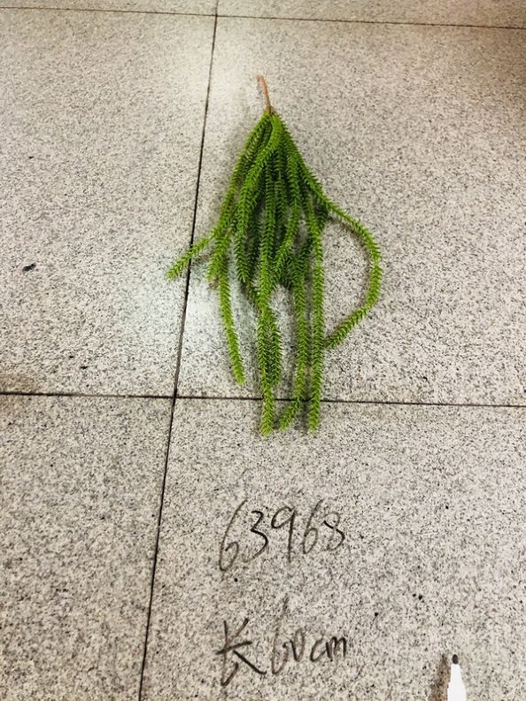 E10H, 63968, artificial plant 60cm