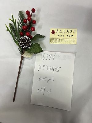 25XD, 66991, Xmas branch