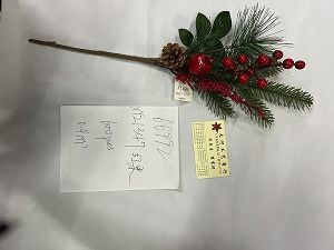 25XD, 66992, Xmas branch