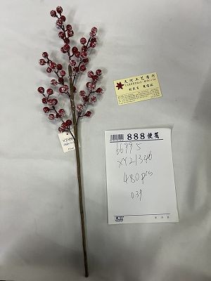 25XD, 66995, Xmas branch