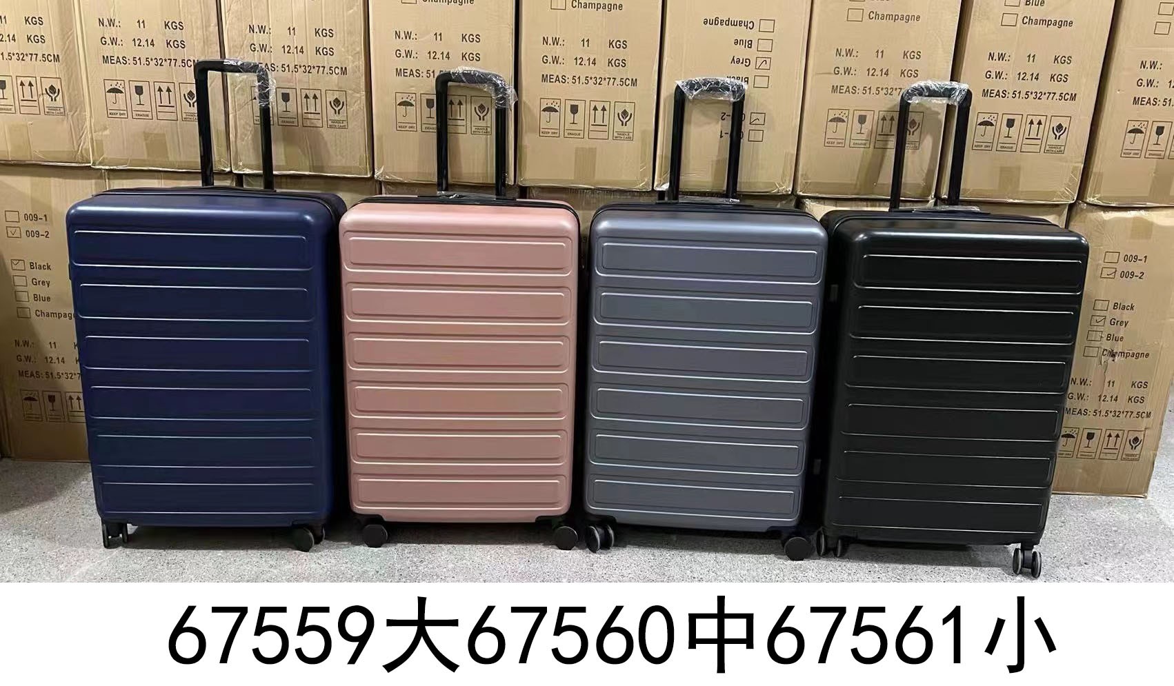 G11H, 67559, Luggage L