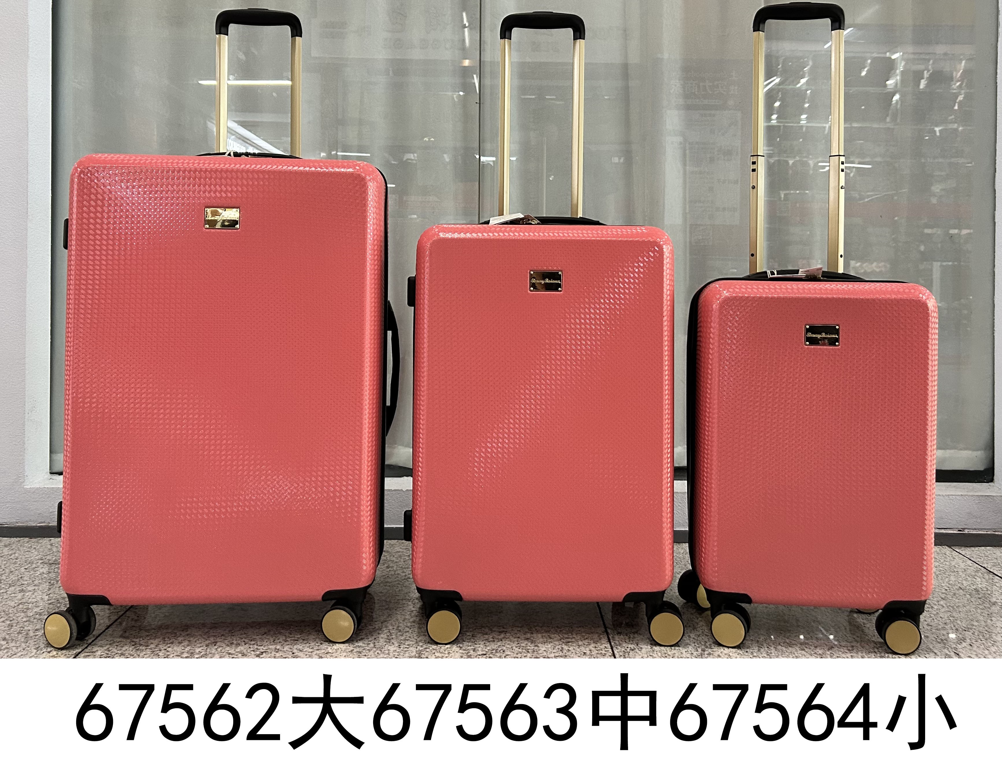 H6H, 67564, Luggage S