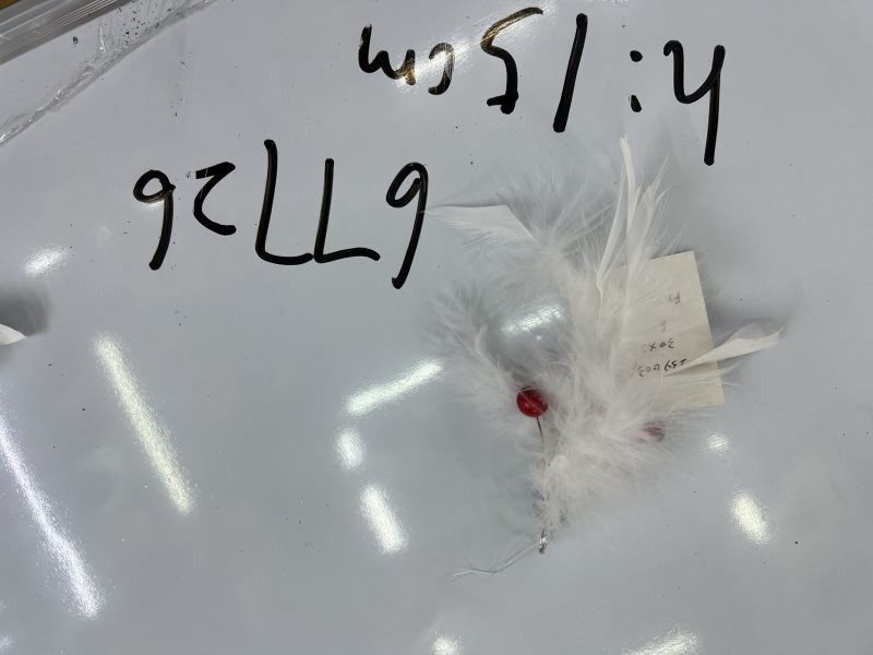 25X29, 67726, Xmas Feather Ornament 15cm