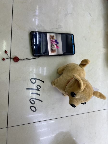 A9L, 69160, Dog Toy Chihuahua