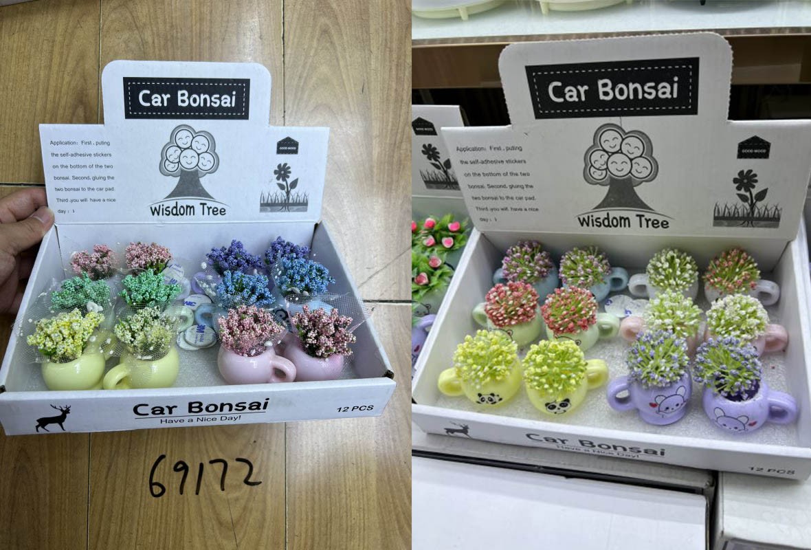E8M, 69172, Mini Bonsai
