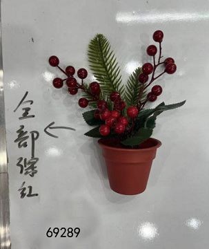 25X12, 69289, Xmas Potted Red Berry