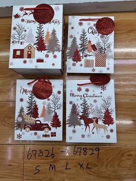 25X2, 69827, Xmas Gift Bag M