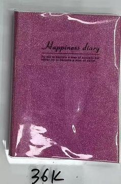 E16L, 70119, Notebook 36K