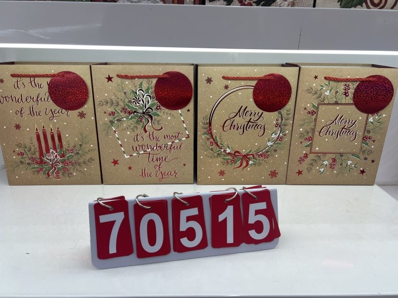 70515, Xmas Gift Bag M 18?23?10cm