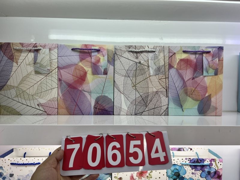 70655, Gift Bag L 26?32?12cm
