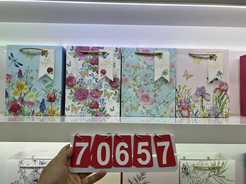 70657, Gift Bag M 18?23?10cm