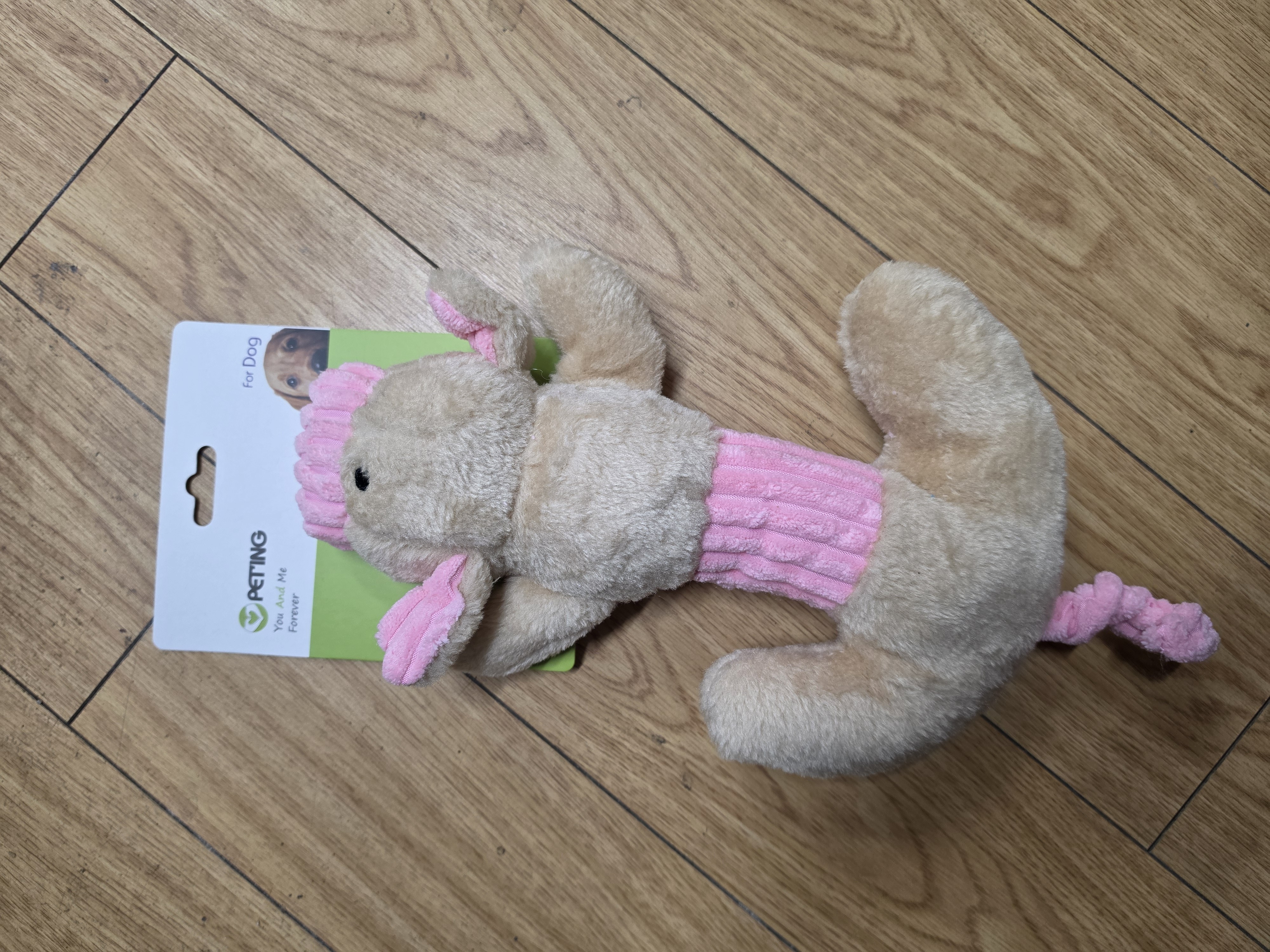 DG2215, DOG PLUSH  TOY FROGGY 41x17cm