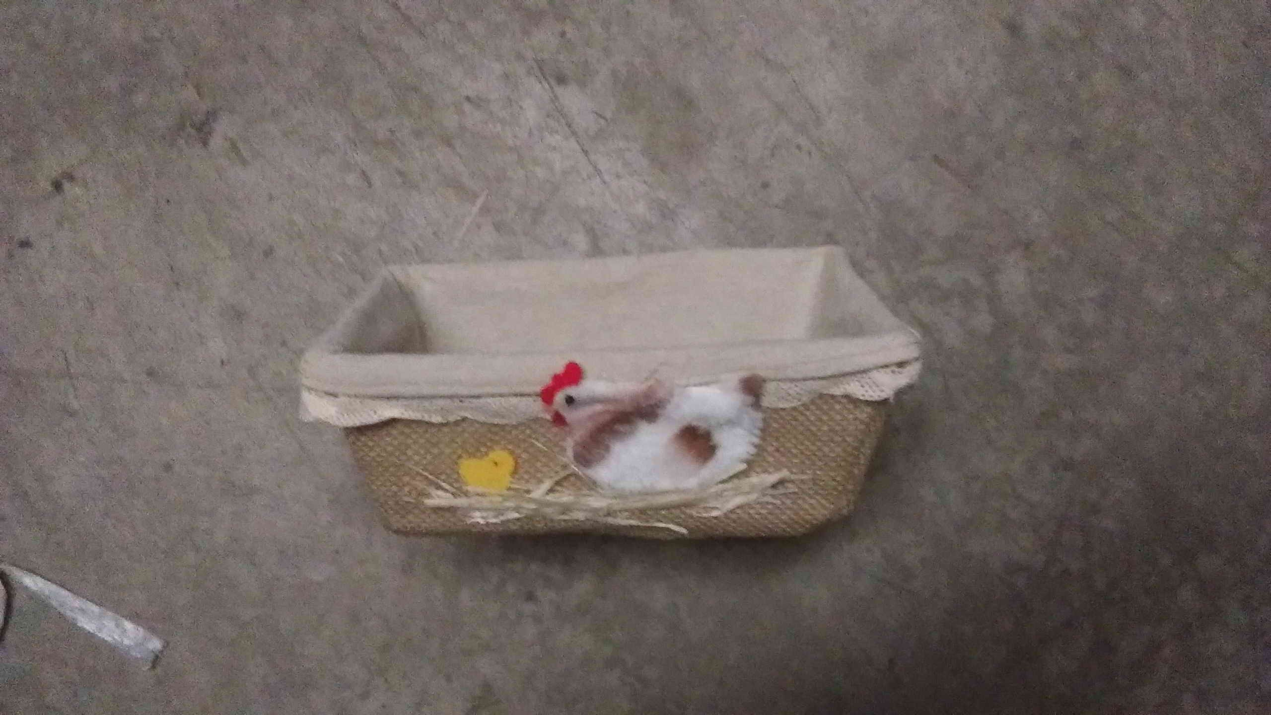 22E1, E0073, Easter Basket 20.5*8CM