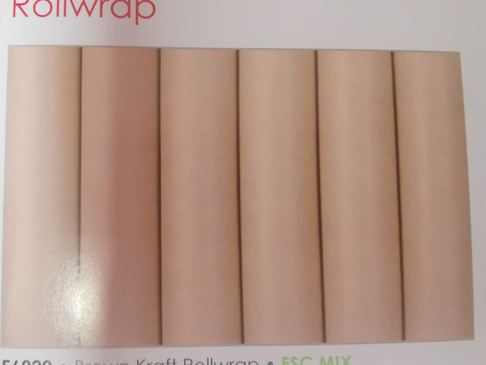 24Xlvl2, E6920, warpping roll 3MX700MM