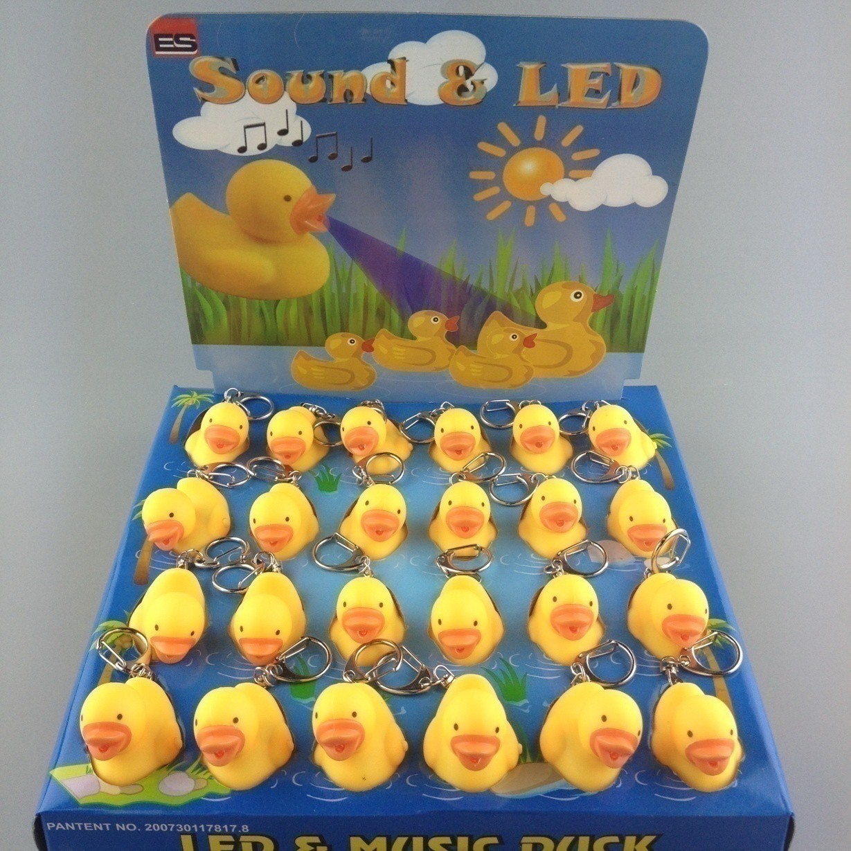 FLASH LIGHT KEY RING DISP/BOX