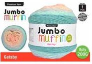 WIN-991, 1pce Muffin Yarn Gatsby 8ply 200g