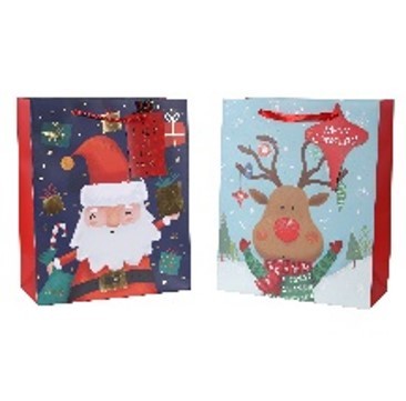 21X1, X264997, MED HOT STAMPING GIFT BAG KIDS