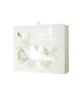25X37, X443361, XL PINE CONE HORIZONTAL GIFT BAG 42*12*30CM