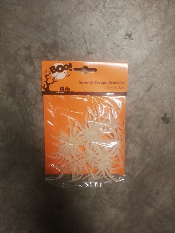 H9, SPOOKY CREEPY CRAWLIES
