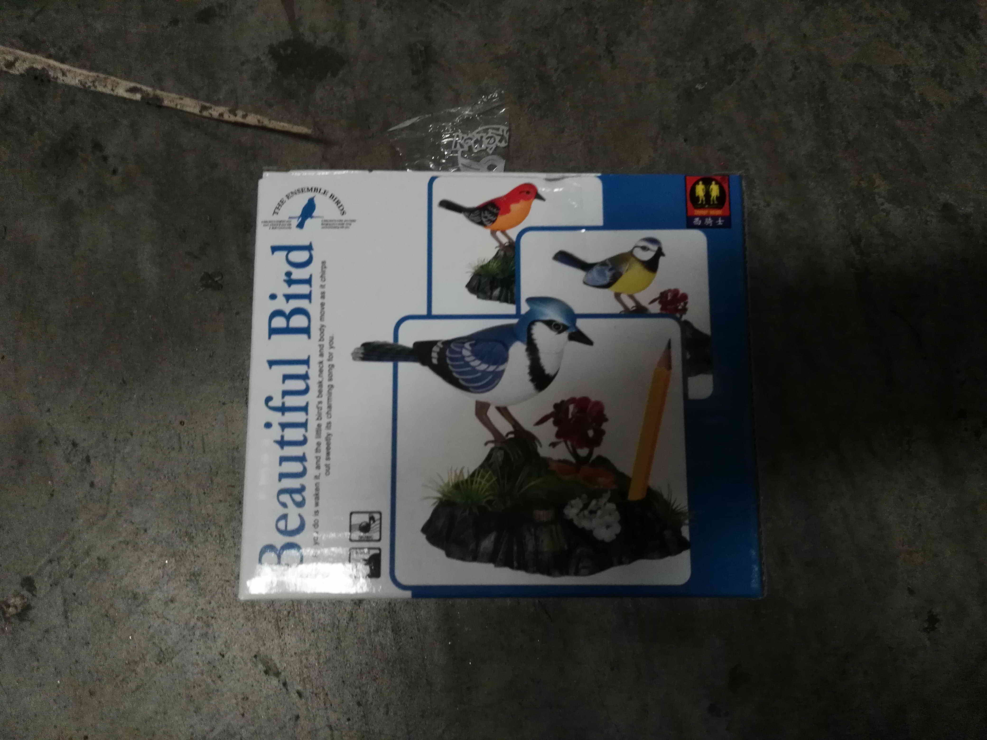 F6L, *SINGING MOTION BIRD 2 ASSTD