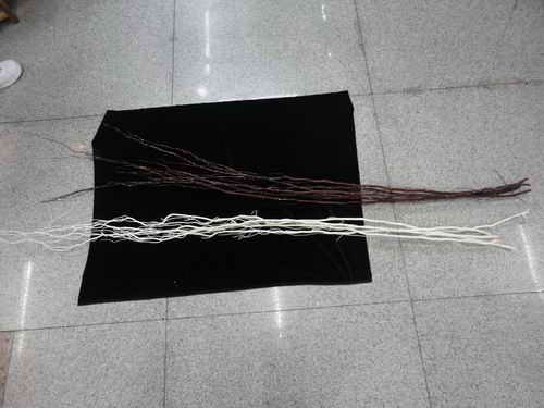 F1H, artificial branch