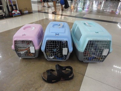 E14T, 19008, Large PET cage