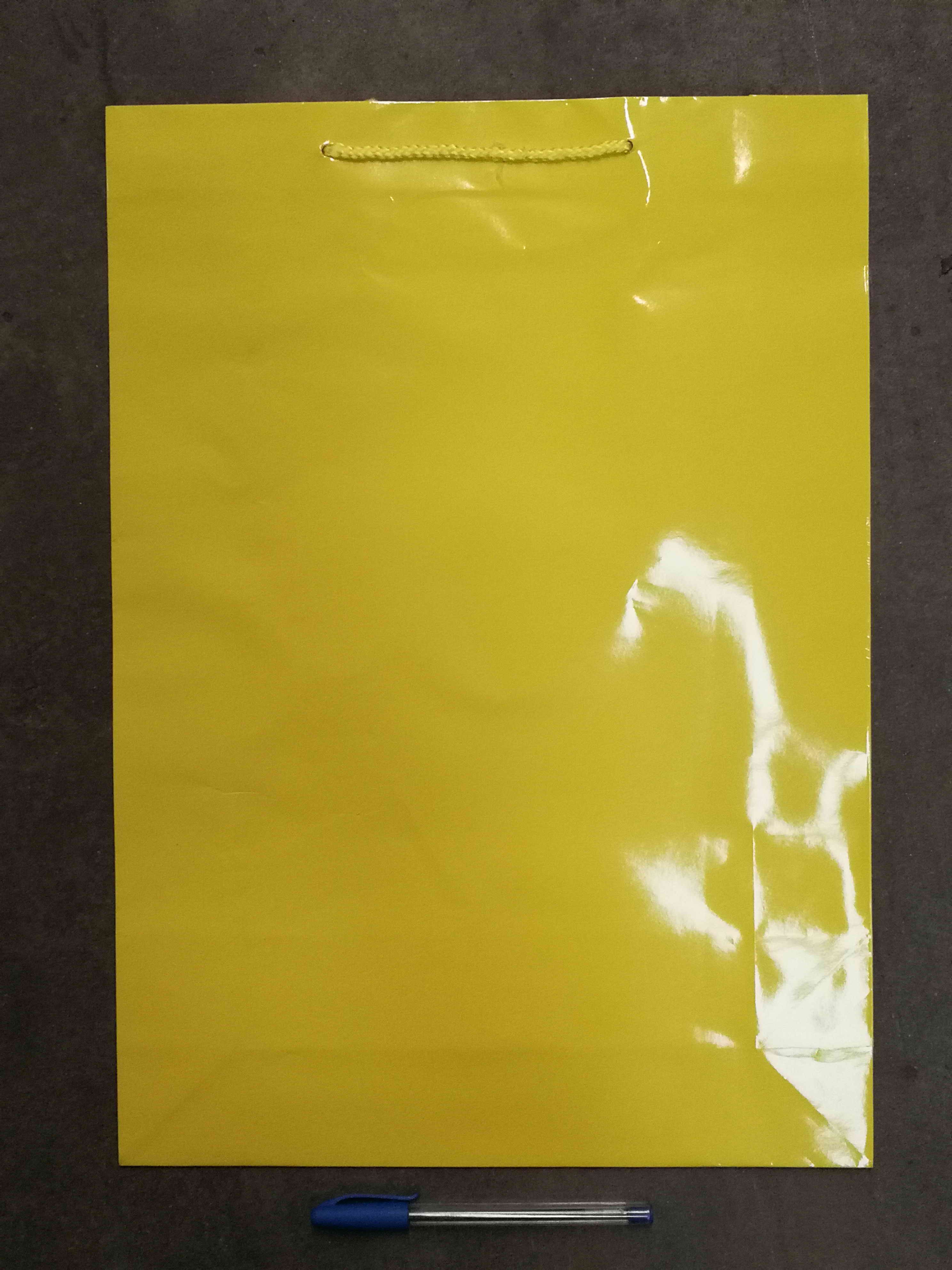 Gift Bag L