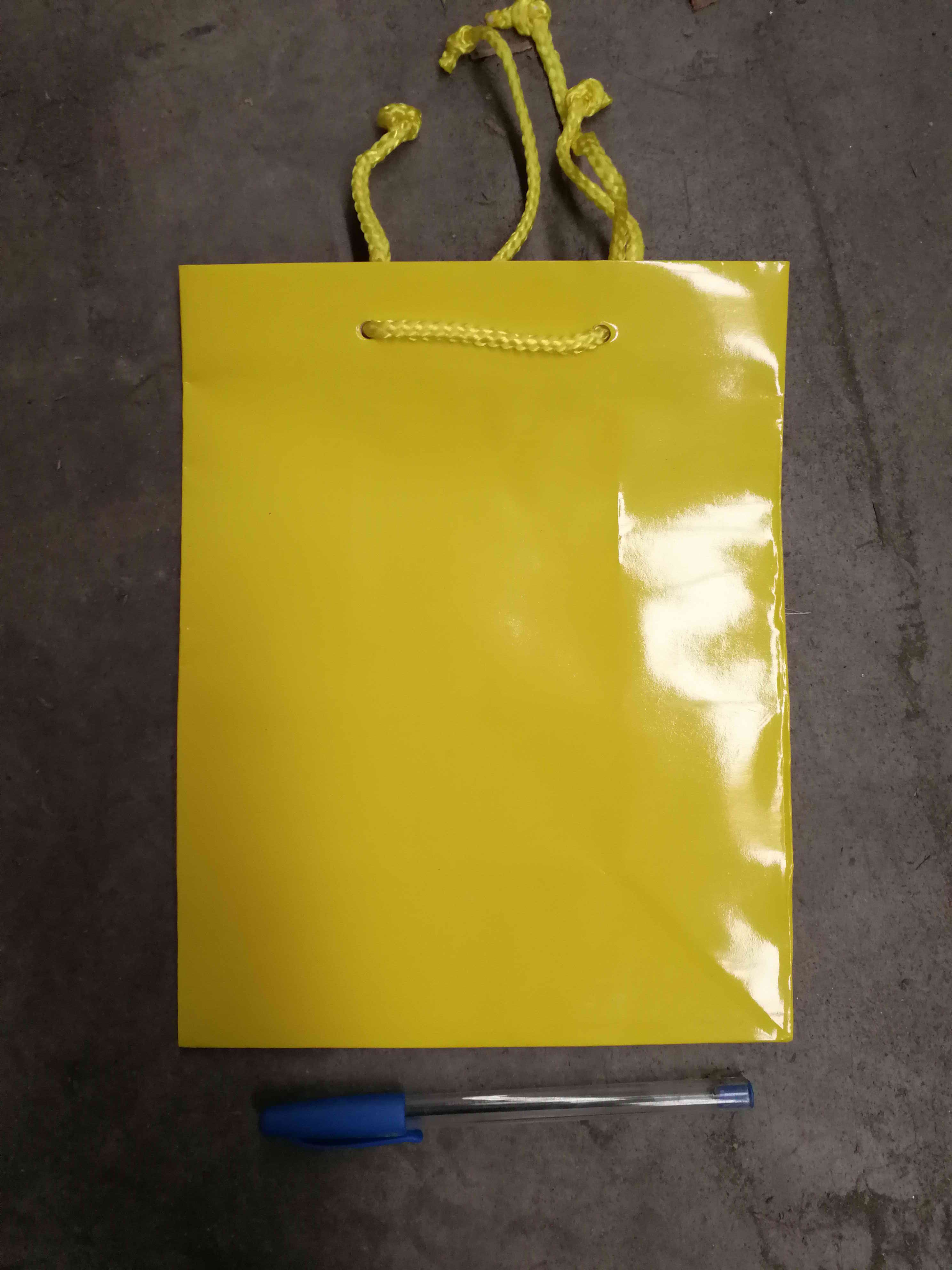 Gift Bag S