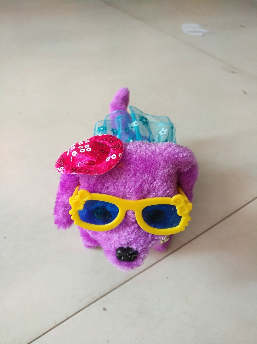 dog toy