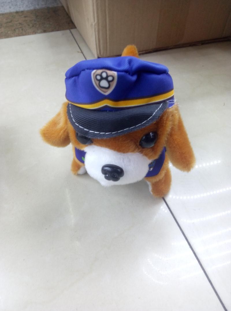 dog toy